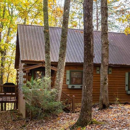 Mountain Time Cabin, Hot Tub, Fire Pit, Fireplace Blue Ridge Exterior foto