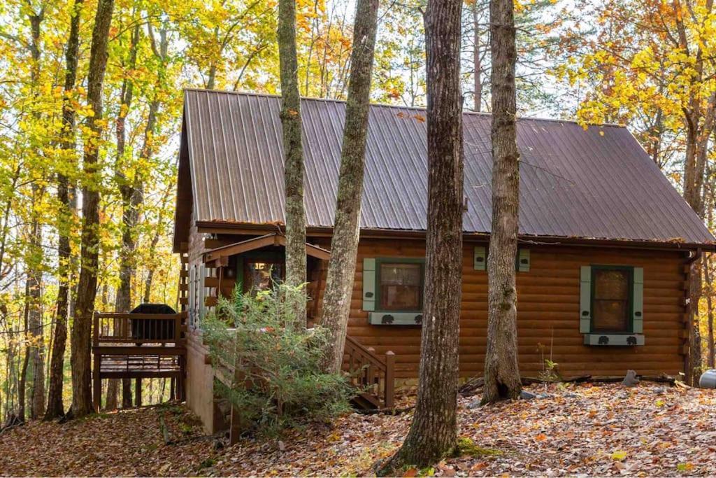 Mountain Time Cabin, Hot Tub, Fire Pit, Fireplace Blue Ridge Exterior foto