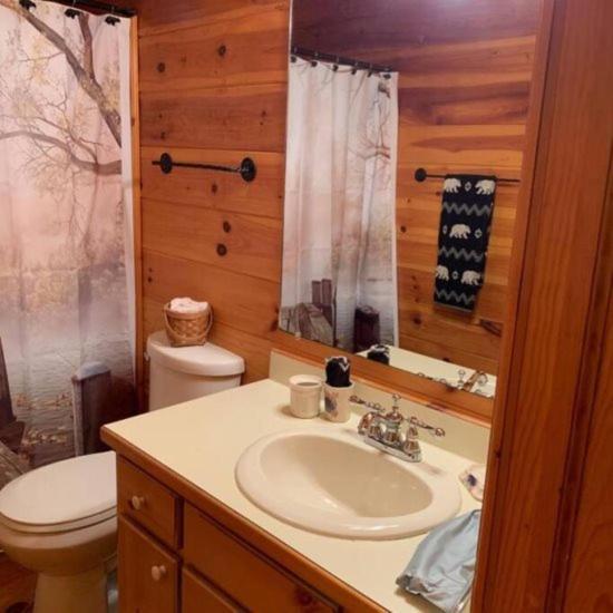 Mountain Time Cabin, Hot Tub, Fire Pit, Fireplace Blue Ridge Exterior foto
